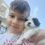 Profile Picture of David Andrei Păscuțoi (@David-Andrei-Păscuțoi) on Facebook