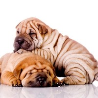 Profile Picture of Kassandra Anderson (@kassandra-anderson-9) on Quora