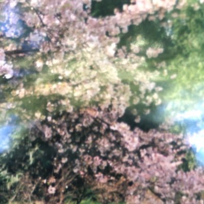 Profile Picture of Josh Lim (@limanjaya_lim) on Twitter