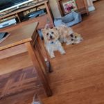 Profile Picture of Jim Pierson (@jim.pierson.758) on Instagram