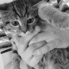 Profile Picture of James Frémin (@james.fremin) on Facebook