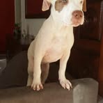 Profile Picture of Ana Claudia Quirino (@anaclaudia.quirino.5) on Facebook