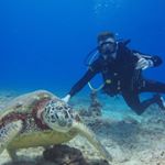 Profile Picture of Adam Hardy (@adamthardy) on Instagram