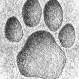 Profile Picture of Hugo Benavent Cerezo (@nightspc) on Myspace