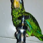 Profile Picture of MELBA Vásquez (@oscar240alberto) on Instagram