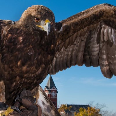 Profile Picture of Kevin Keffer (@kevinkeffer) on Twitter