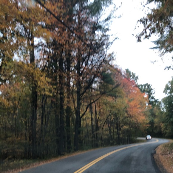 Profile Picture of Emily Introne (@eintrone) on Poshmark