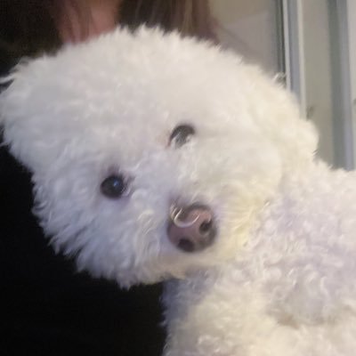 Profile Picture of Fiona Feng (@FionaFeng20) on Twitter