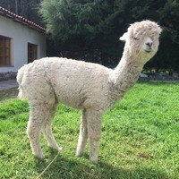 Profile Picture of Eric Parker (@eric-parker-35) on Quora