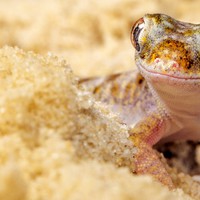 Profile Picture of Jose Granillo Granillo (@jose-granillo-granillo) on Quora