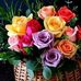 Profile Picture of Mohamed Mahraoui (@med.mahraoui.18) on Facebook