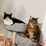 Profile Picture of Joseph Vernon Draper (@jvdraper) on Instagram