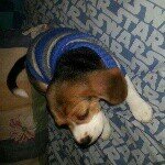 Profile Picture of cleito cleopatra clemensia♥ (@cleo_castillo_cardenas) on Instagram