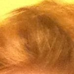 Profile Picture of James Haas (@j.haaslc5) on Instagram