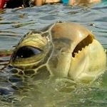 Thomas Raster - Instagram Profile Picture of Thomas Raster (@thomas_raster190) on Instagram