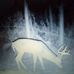 Profile Picture of Rickey Knotts (@rickey.knotts.98) on Facebook