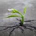 Profile Picture of Claudio DaSilva (@claudio.dasilva.5201254) on Facebook