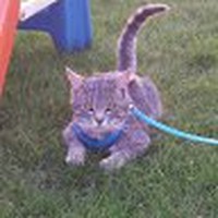 Rachel Lauwers - Quora Profile Picture of Rachel Lauwers (@rachel-lauwers-1) on Quora