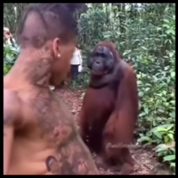 Profile Picture of Kyle Walker (@mistyshadow100) on Poshmark