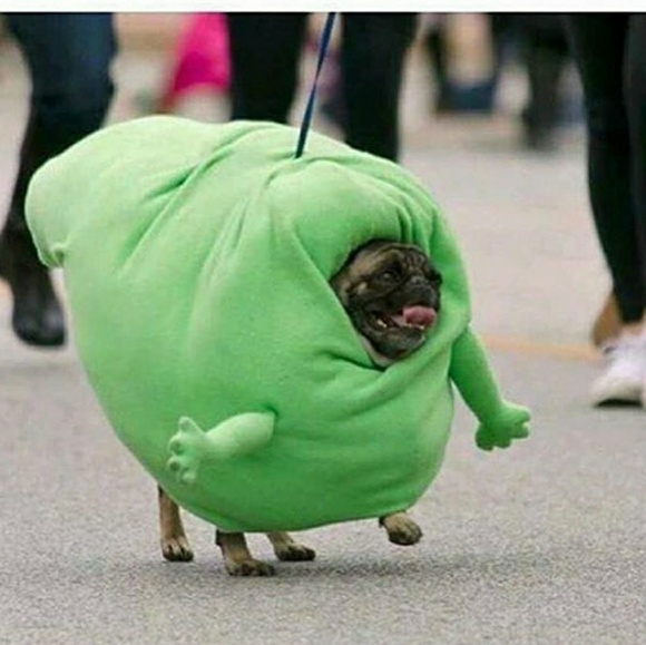 Profile Picture of Allyson Siepl (@t0as7y) on Poshmark