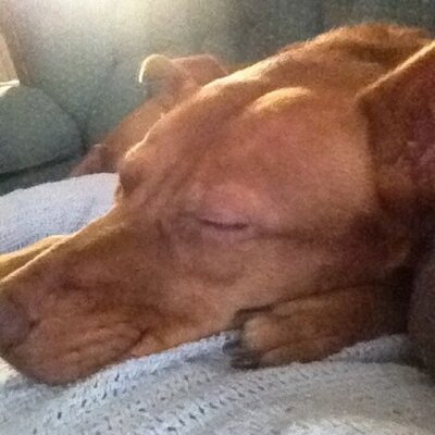 Profile Picture of David Weakley (@daveweakley) on Twitter
