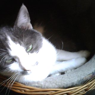 Profile Picture of Andrea Bertoni (@andrea.bertoni.501) on Facebook