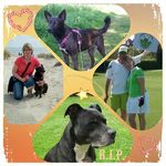 Profile Picture of Simone Still (@simone.still.9) on Instagram