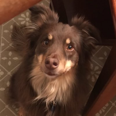 Profile Picture of Robert K (@saucedonwheels) on Twitter