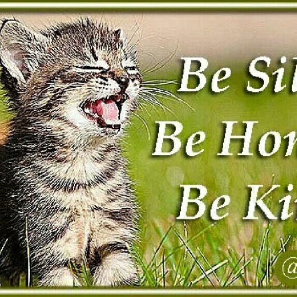 Profile Picture of Micki Taliento (@mickibella) on Poshmark