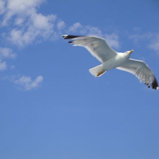 Profile Picture of Αθανασιος Ιωαννου (@&) on Facebook