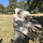 Belinda Dooley - Instagram Profile Picture of Belinda Dooley (@david.w.dooley) on Instagram