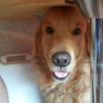 Profile Picture of Terry Utter jr (@bigbuck1216) on Instagram