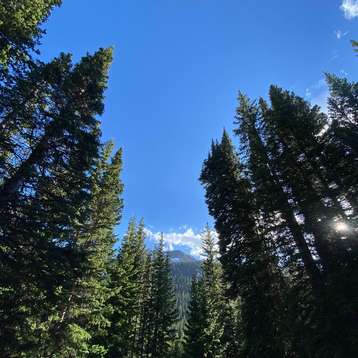 Profile Picture of 🏄🏽 (@matthew.chagy) on Tiktok