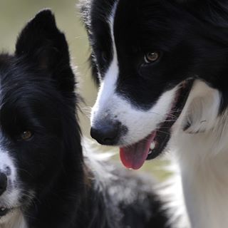 Profile Picture of Catherine Zinsky (@Catherine-Zinsky) on Facebook