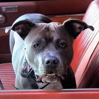 Profile Picture of Bob Butcher (@Bob-Butcher) on Facebook