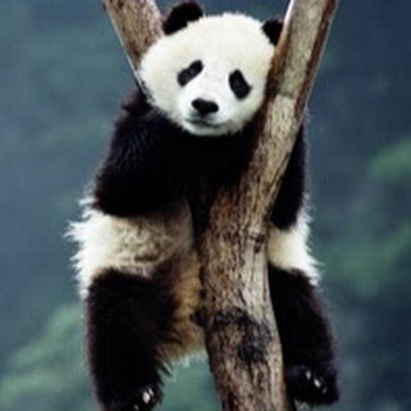 Shirley Rojas - Poshmark Profile Picture of Shirley Rojas (@shirley_rojas) on Poshmark