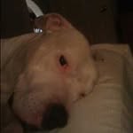 Profile Picture of Peter Whitenack (@peterwhitenack) on Instagram