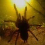 Profile Picture of Sonia Blair (@beata.majdan.7) on Facebook