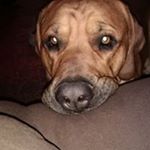 Profile Picture of Derek Finn (@derek.finn.129) on Instagram
