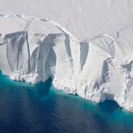 Profile Picture of Yifei Liu (@YifeiLi33524233) on Twitter