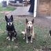 Profile Picture of David Coombe (@david.coombe.752) on Facebook