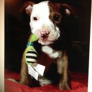 Magaly Galvan - Pinterest Profile Picture of Magaly Galvan (@mgvincent) on Pinterest