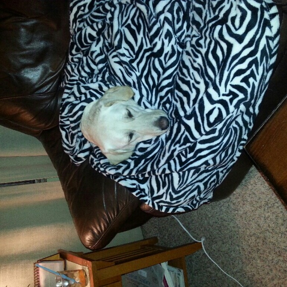 Profile Picture of Danette Hahn (@delongcompany) on Poshmark