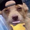 Profile Picture of Brian Hanks (@@gocrazymannnn) on Tiktok