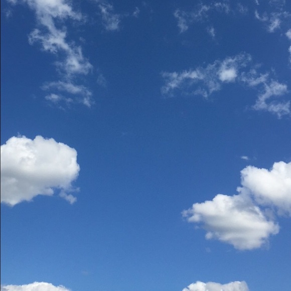 Profile Picture of Emily Meninno (@egggplant) on Poshmark