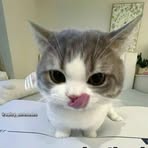 Profile Picture of David Garrett (@David-Garrett) on Facebook