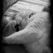 Profile Picture of Jody Joseph (@jodyjo1214) on Pinterest