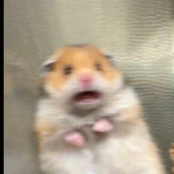 Profile Picture of Sky Volante (@iloveboba123) on Poshmark