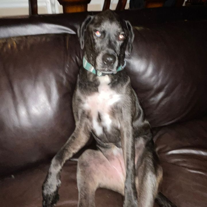 Profile Picture of Matthew Beckley (@matthew.beckley7) on Tiktok