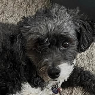 Alberta Nolan - Instagram Profile Picture of Alberta Nolan (@alberta.nolan) on Instagram